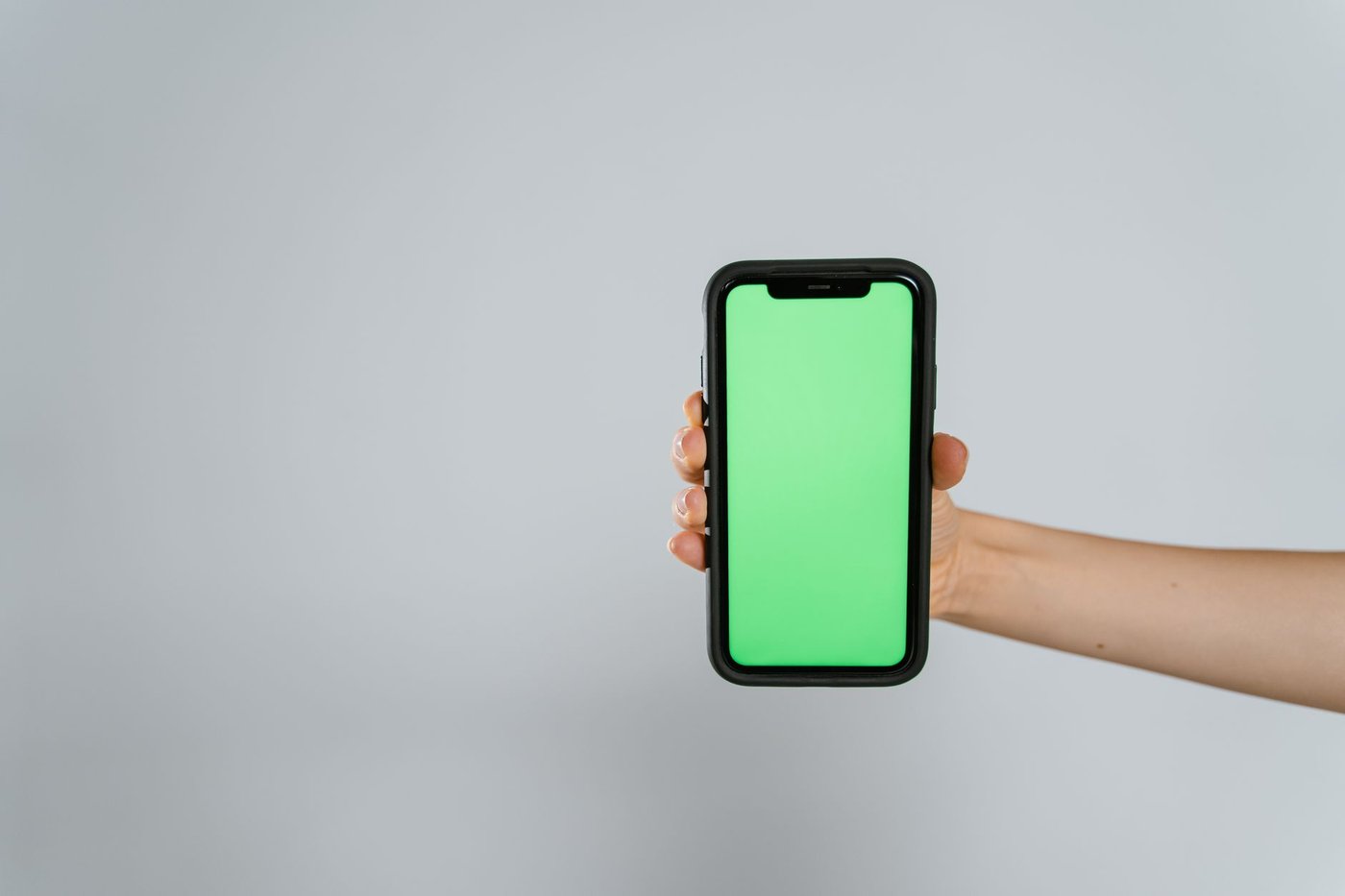 スマートフォンを使って情報を調べる様子